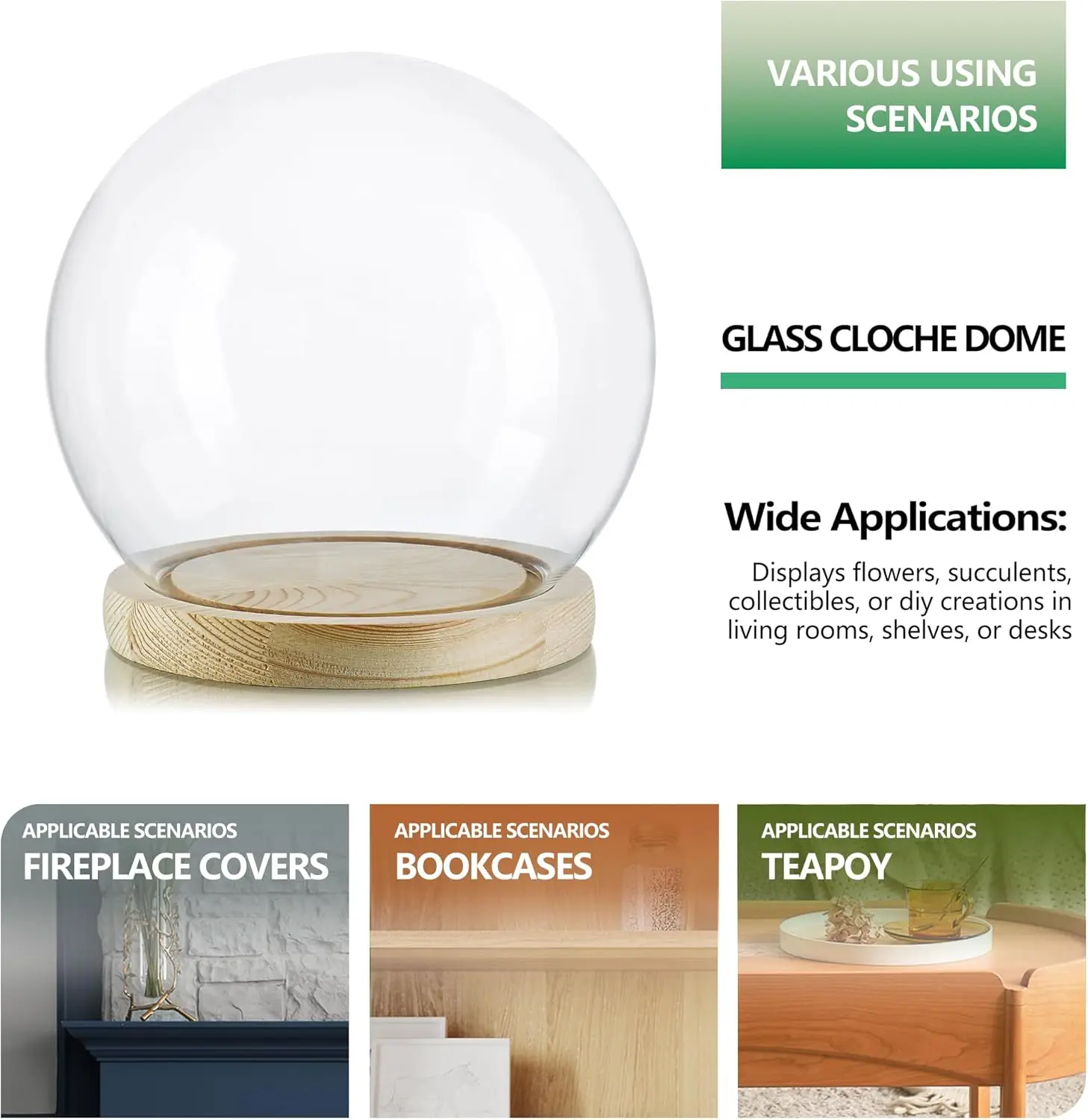 Round Glass Cloche Display Dome 6inch Decorative Glass Display Bell Jar for Plants Keepsakes Collectibles 1pcs