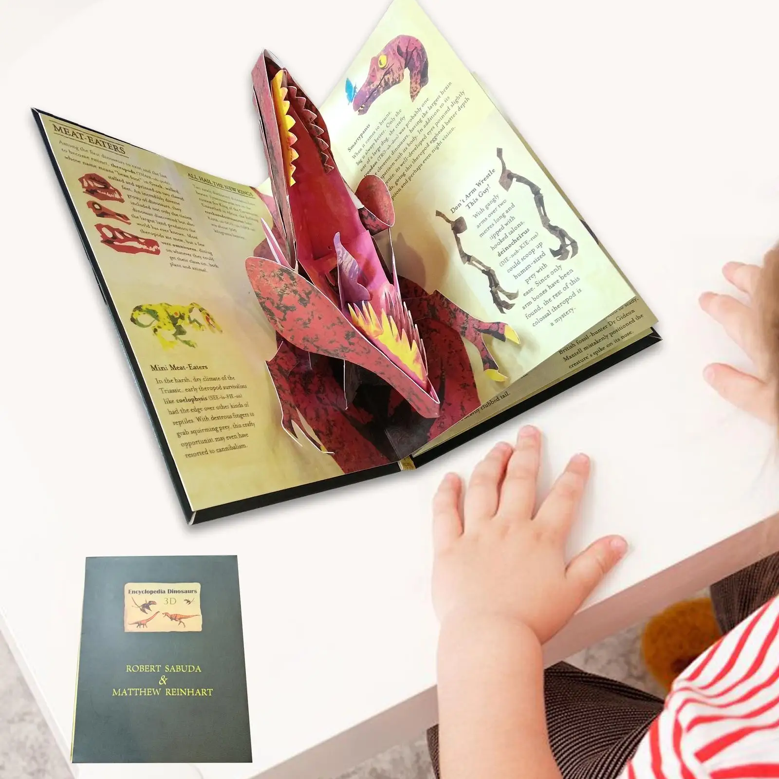 3D Dinosaur Book Funny Early Education Book for Toddlers Boys Girls Kids