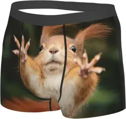 Men's Boxer Briefs Underpants Cute squirrel  Printed Mens Soft Underwear,Comfy Breathable Short Trunk