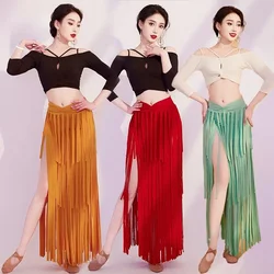 2-piece belly dance dress practice outfit top tassel skirt inspiring women's performance costumes exotic dancewear  gypsy skirt