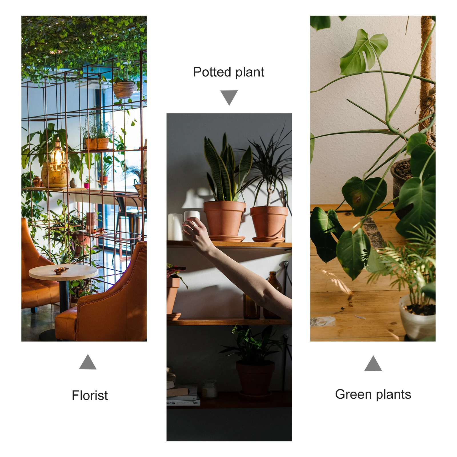 

5Pcs Resin Mini Mushroom House Micro Landscape Decoration Garden Desktop Ornament Miniature Accessory Miniature Ornaments