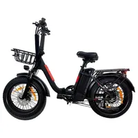 Off-road Electric Bicycle 250W 500W 1000W High Speed Motor Electric Bike 48V16Ah Removable Battery Fat Tire 20inch Ebike DZ-2030