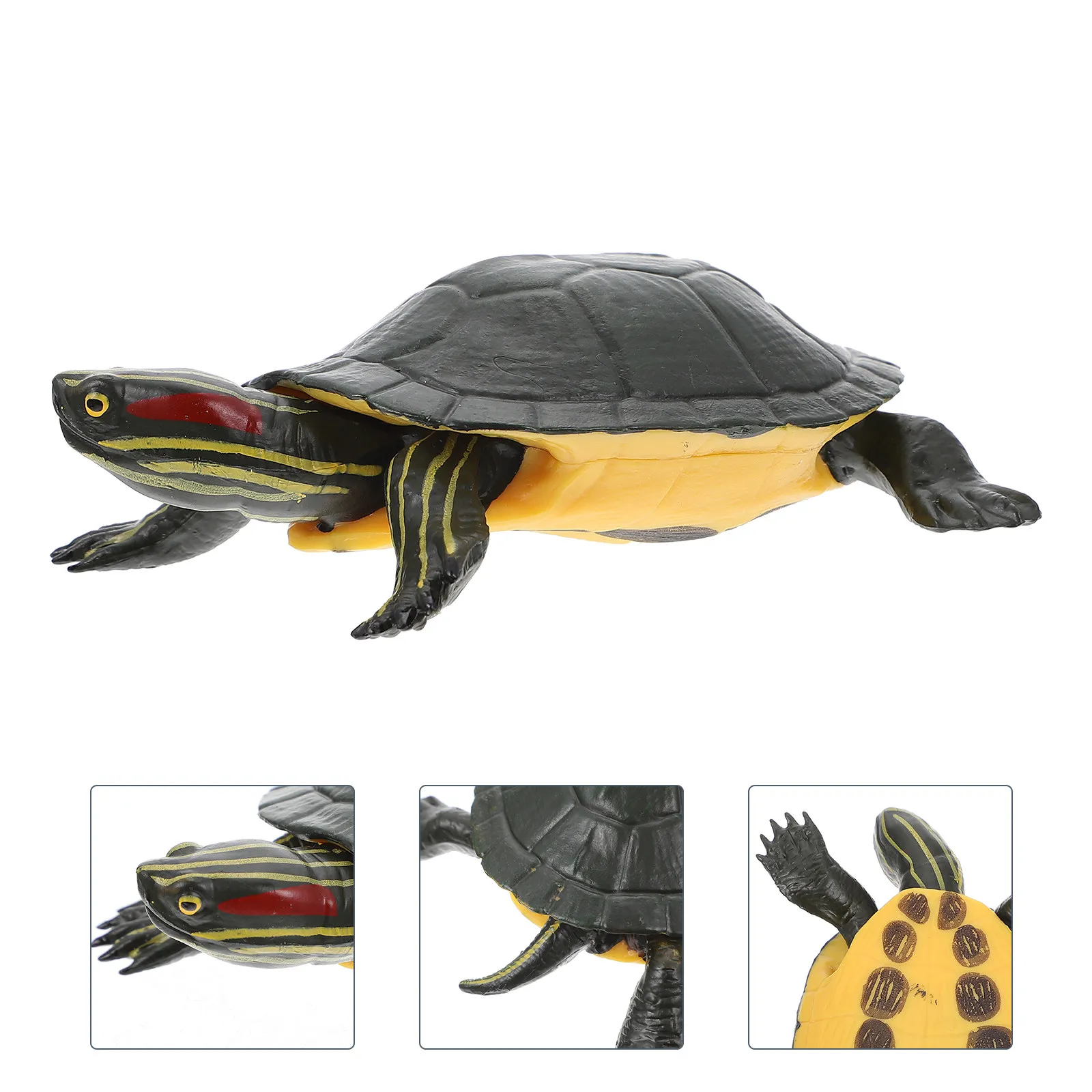 

Solid Lifelike Turtle Crafted from Safe Lightweight Plastic Ideal for Early Education Home Office Decor Kids Party