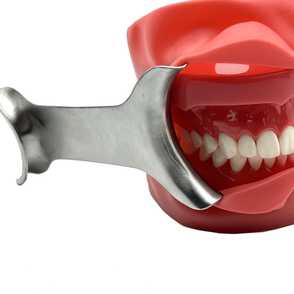 

Dental Tool Stainless Steel Intraoral Cheek Lip Retractor T-Shape Mouth Opener for Oral Surgery and Examination Instrument Set