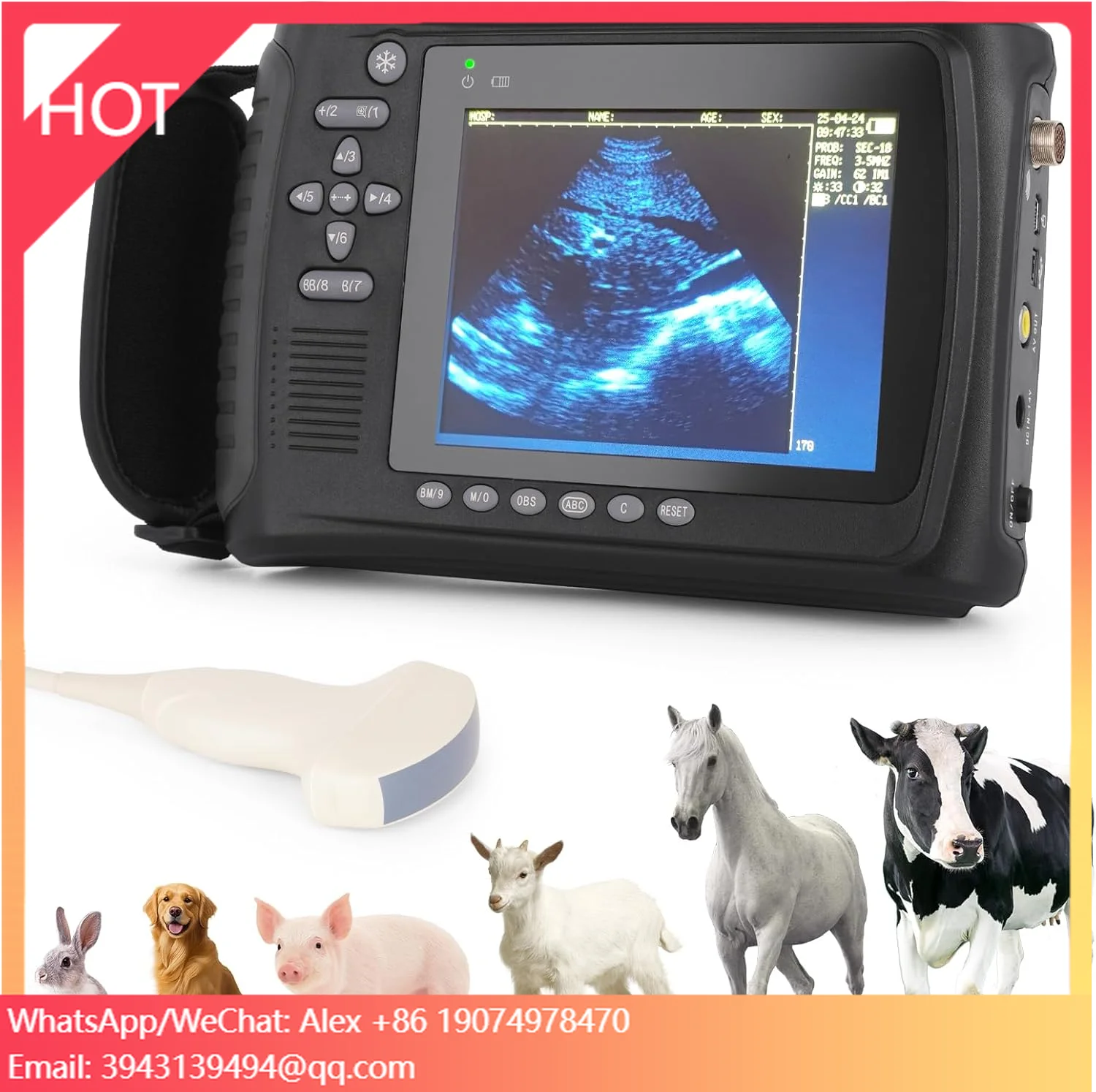 

Full Digital Handheld Ultrasound Scanner For Swine Pig Veterinary Monitoring Device Used In Farm Veterinary Ultrasound Machine