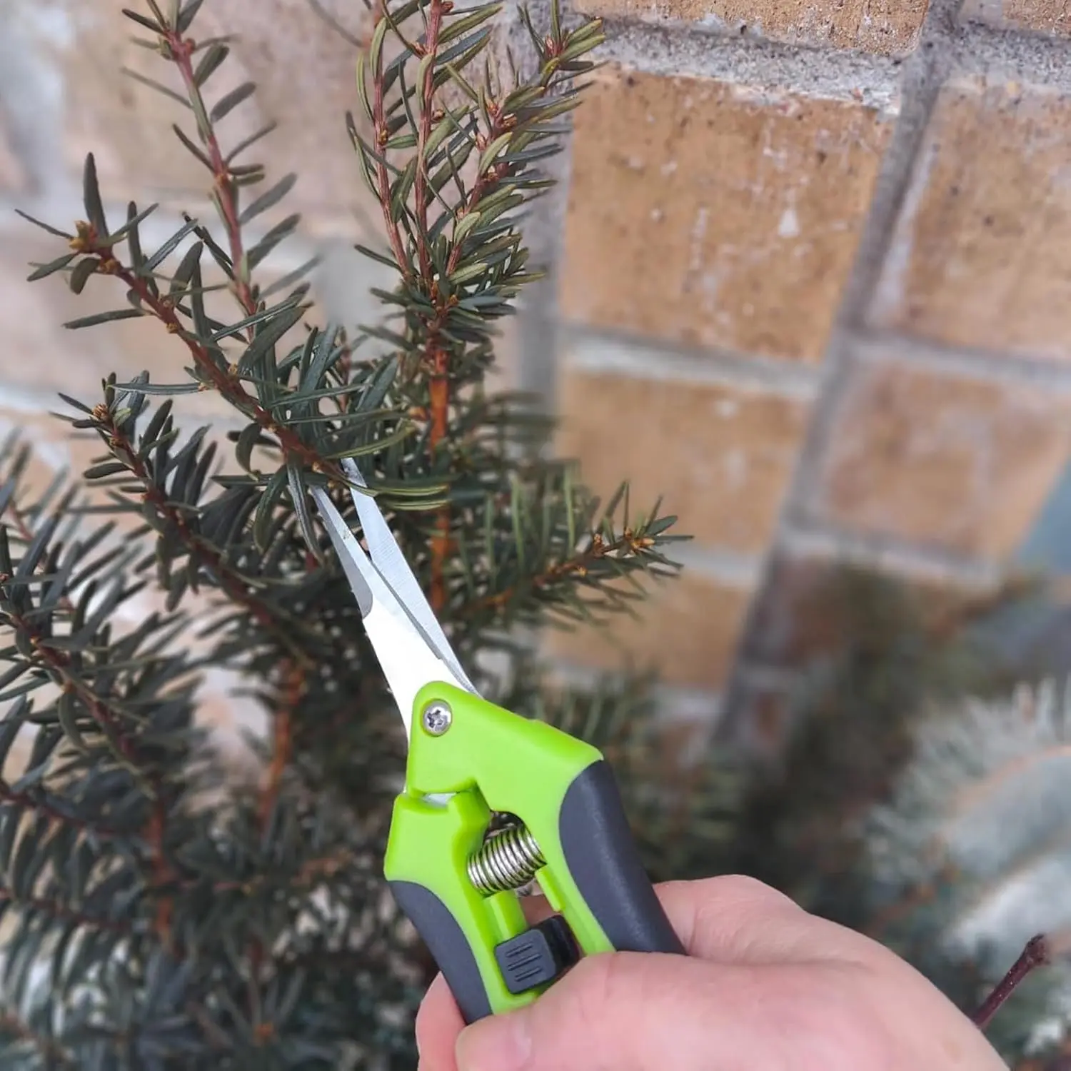 15 PCS 6.5 inch Garden Pruning Shears, Gardening Hand Pruners with Straight Stainless Steel Precision Blades, Pruning Shears