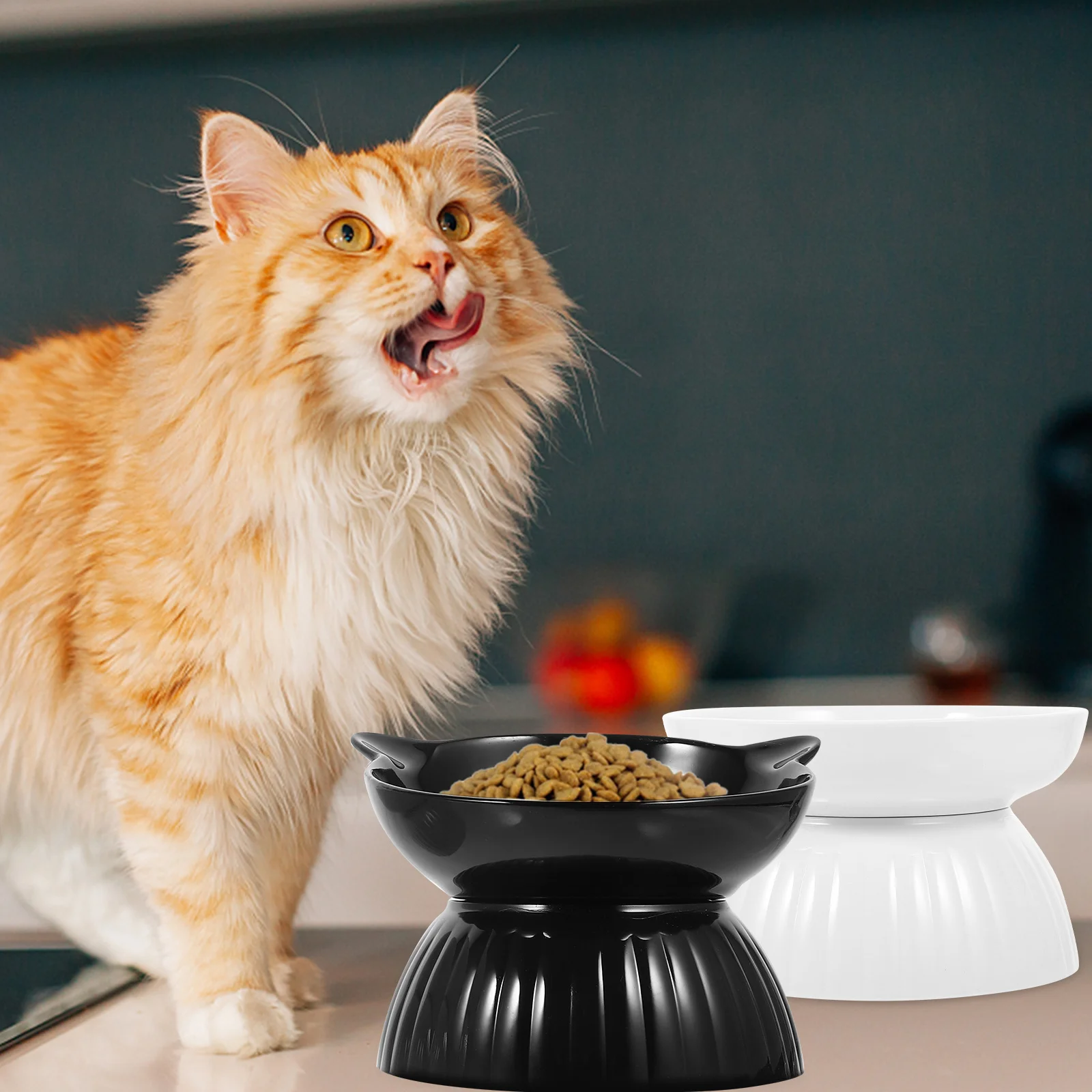 

2Sets Elevated Cat Bowls Ceramic Raised Feeding Dish Smooth Surface High Durability Comfortable Eating Pet Gift