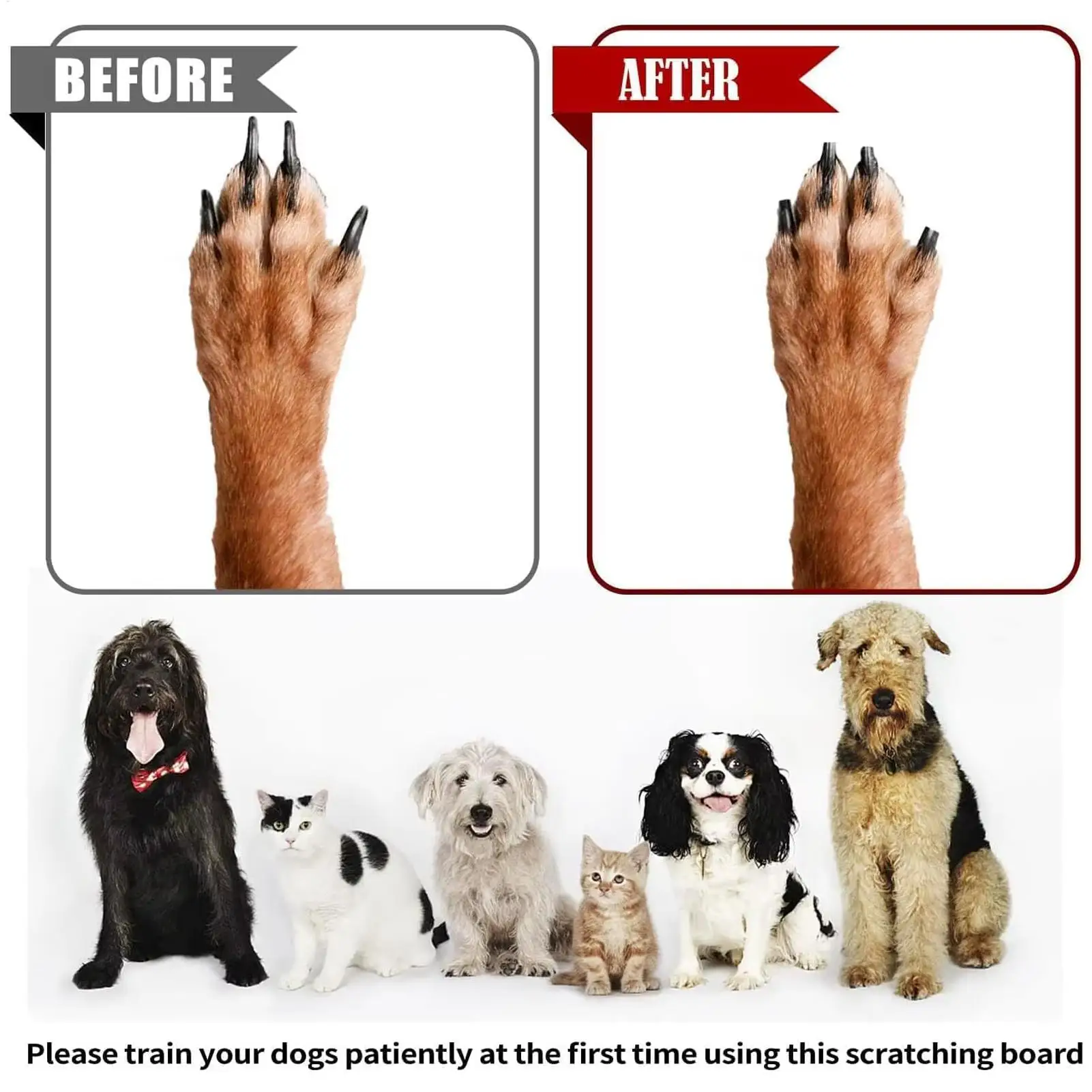 

Dog Nail Scratch Board Furniture Protecting Enrichment Gadget Dog Nail Scratching Toy Board For Puppy Medium Large Breeds Living