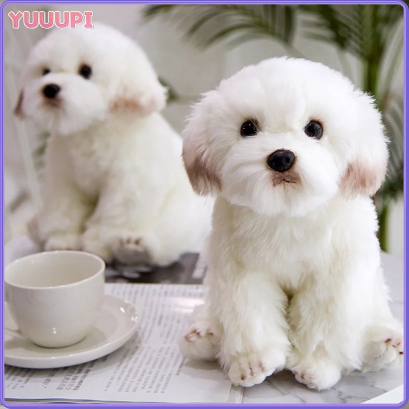 

Имитация мальтийской собаки, плюшевая игрушка, чучело, высокое качество, реалистичная мальтийская собака, плюшевая игрушка для сна, подарки на день рождения для детей