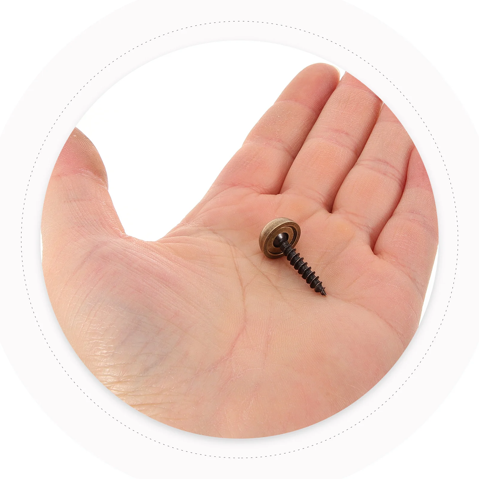 

8pcs Brass Decorative Screws 13Mm Self-Tapping Screw Caps For Furniture Mirror Mounting Wood Glass Decoration Screws Caps Cover