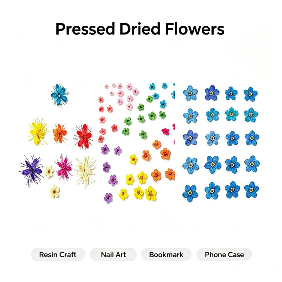60pcs Mini Pressed Dried Flowers - DIY Craft Supplies for Photo Frame/Resin Jewelry/Phone Case/Bookmark/Nail Art/Face Deco