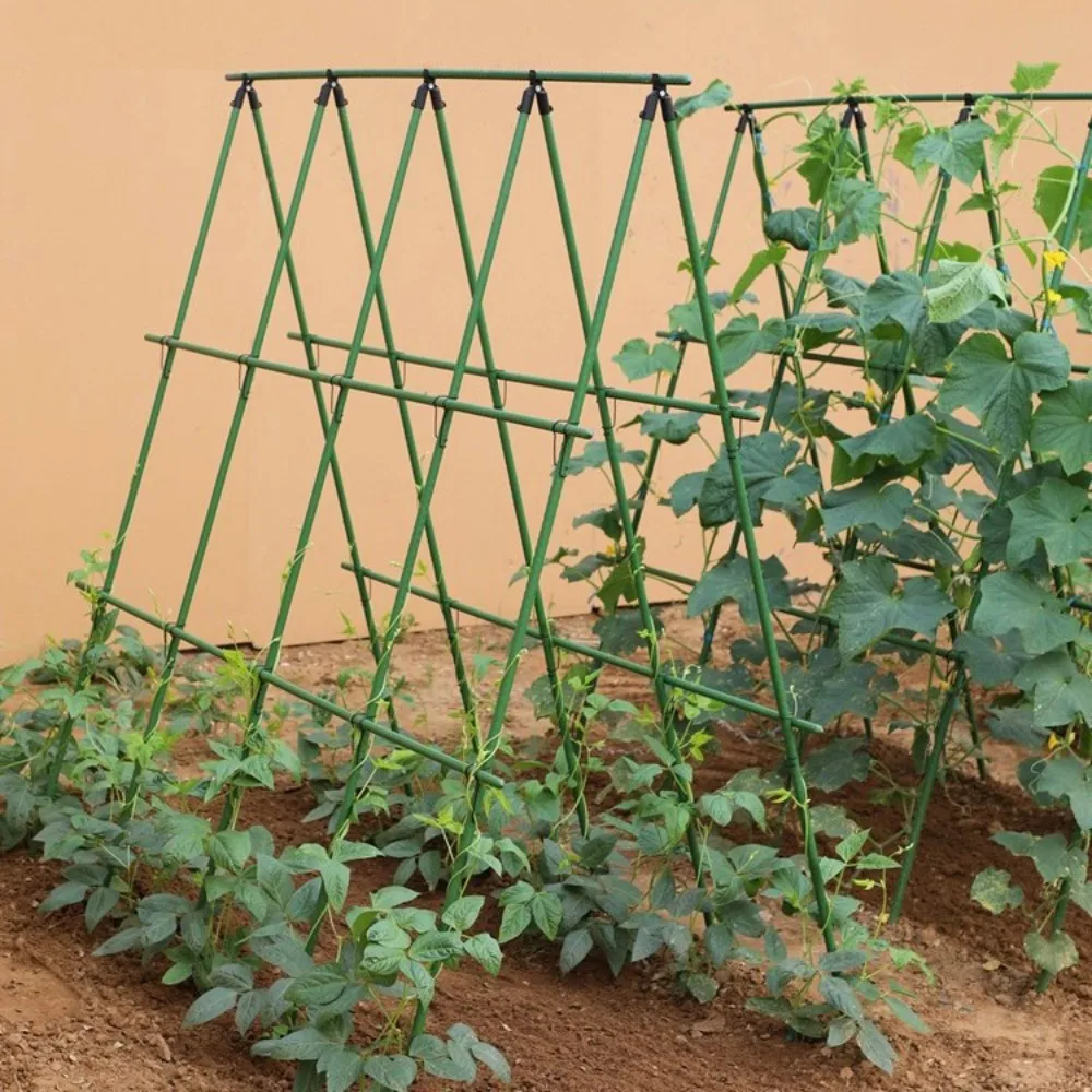 climbing poles cucumber green bean trellises tomato trellises vegetable plant support poles wrapped plastic-coated steel pipes