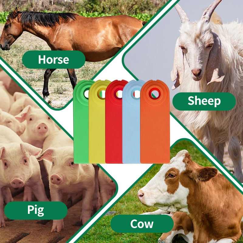 100 Buah Label Telinga Kambing Domba Tanpa Kata-kata 5 Warna Anting Penanda Ternak Pertanian Plastik Peralatan Identifikasi Hewan Sapi Babi