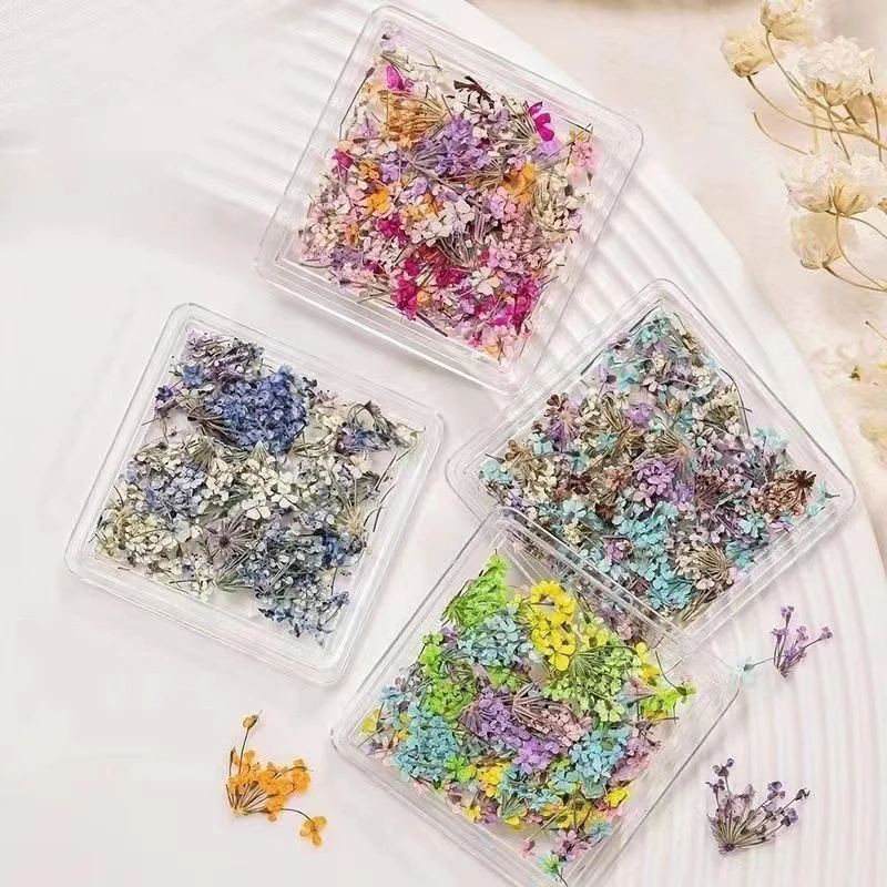 3D Nail Art DIY Decorations Japanese Style UV Gel Dried Flower For Nails Art Jewelry Charms Flower Beauty Salon Decos