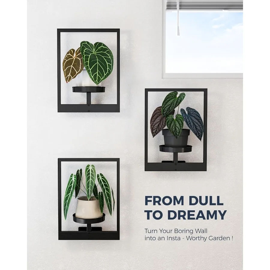 المزارعون المعلقة للنباتات الداخلية جدار ديكور غرفة المعيشة حامل النبات الداخلي جدار المزارعون شماعات النبات نافذة رفوف النباتات 3 #4