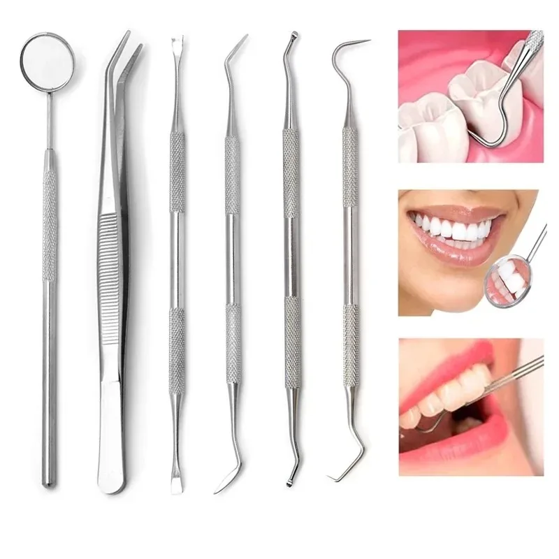 3/6PCS Stainless Steel Dental Tool Set Dental Oral Care Endoscopic Cleaning Calculus Remover Tooth Stains and Tartar