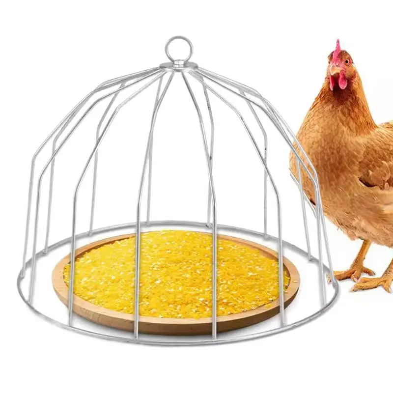 

Chicken Feeder Guard Chicken Trough Guard No Clutter Duck Feeder Cage For Feed Trough Farm Animal Treat Container Covers