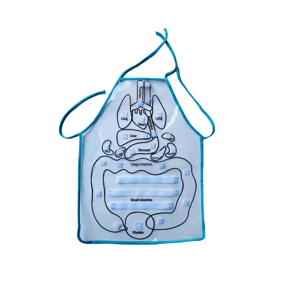 Human Organ Cognition Apron Montessori Biology Materials Early Educational Equipment To Learn Body Teaching Aids