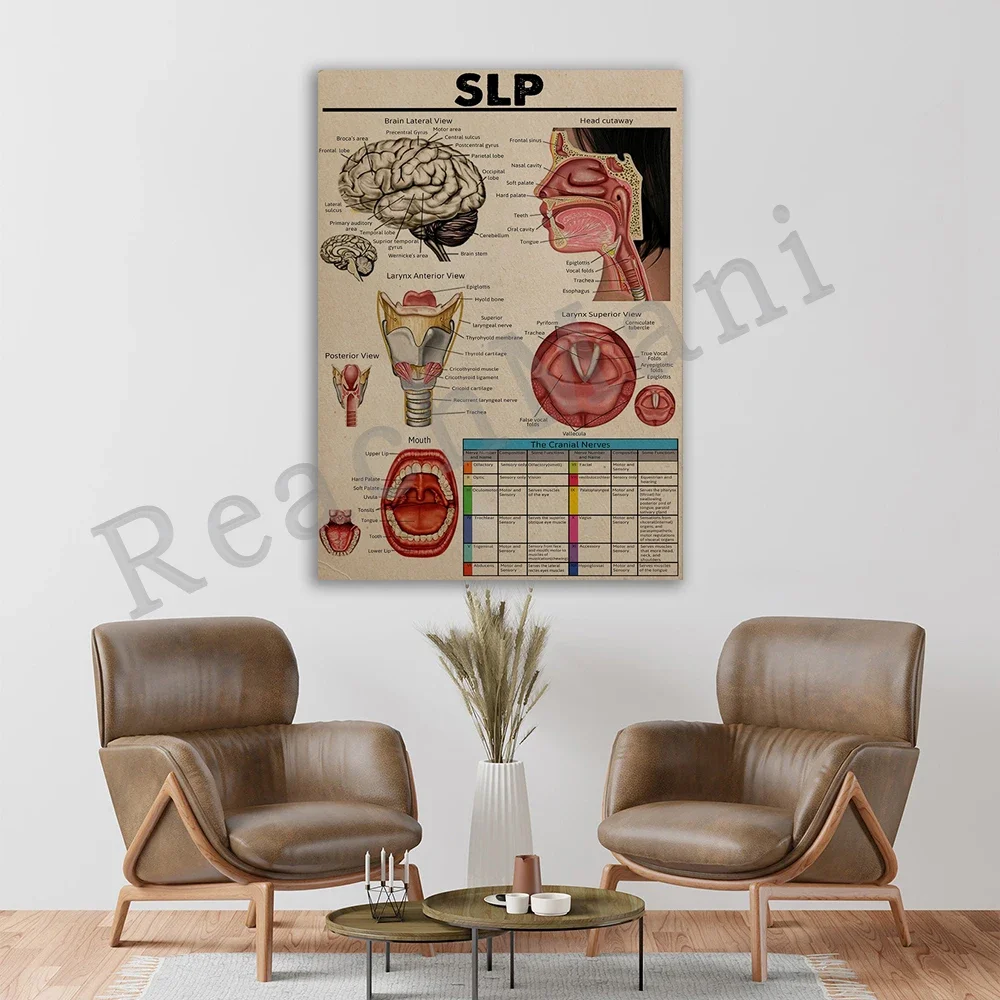 

Learn about glaucoma, glaucoma knowledge poster, glaucoma ophthalmologist print, eye cross section ophthalmologist gift
