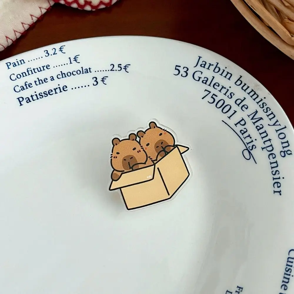 1 قطعة كابيبارا متعددة الوظائف الكرتون دبابيس الاكريليك لطيف شكل دبابيس تنوعا اكسسوارات مجوهرات شارات التلبيب الاطفال هدية