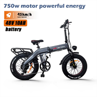 Electric Bicycle DrvetionBT20 20Inch Fat Tire750W Folding Electric Bike 48V10AH Battery All Terrai adult Mountain off-road ebike