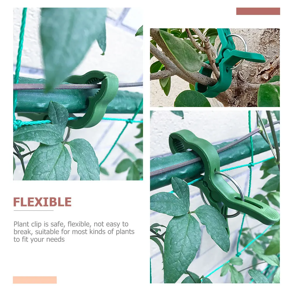 

50pcs Plant Set Reusable Gardening Clips for Tomato Phalaenopsis Support Plant Fixing Clamp Vine Fixing Cage Greenhouse