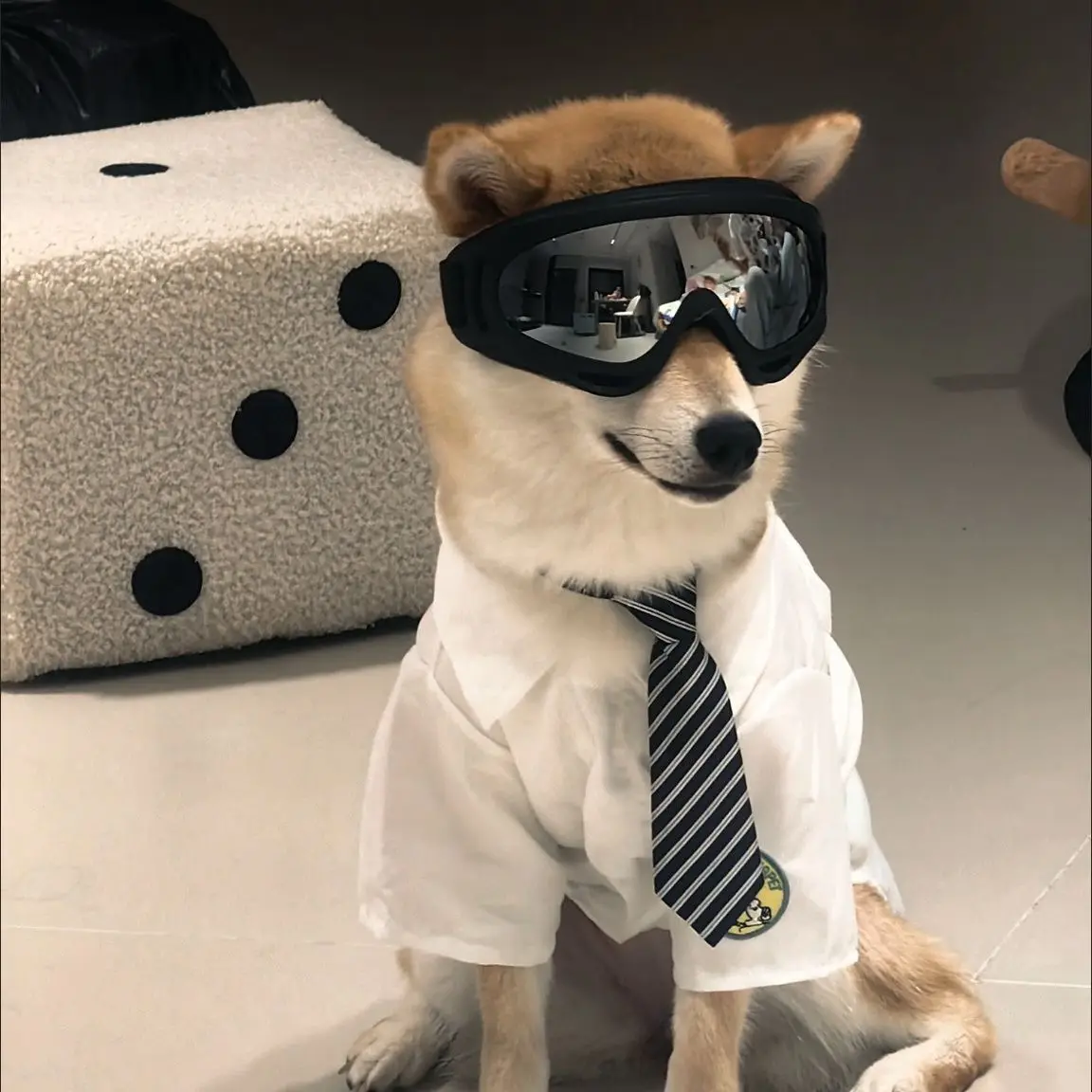 

Dog Windproof Sunglasses - Cute Pet Goggles for Teddy/Corgi, UV Protection & Photo-Ready Style