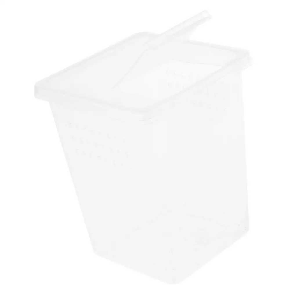 Plastic Insect Habitat Feeding Box Case Container Tank Transport Case Hatching Tank Reptile Tank Habitat Case