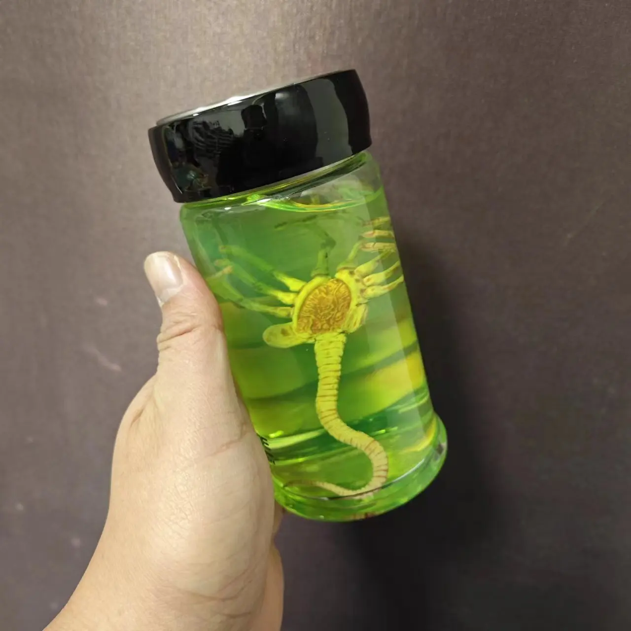 1/6 Alien Xenomorph Facehugger Embryo in Jar Test Tube Bottle Prop for 12in Action Figure Doll Accessory Toy Decoration Gifts