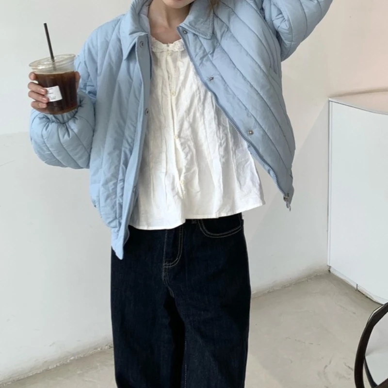 

Color Texture 25 Autumn and Winter Lapel Small Light Cotton Coat Loose Cotton Coat