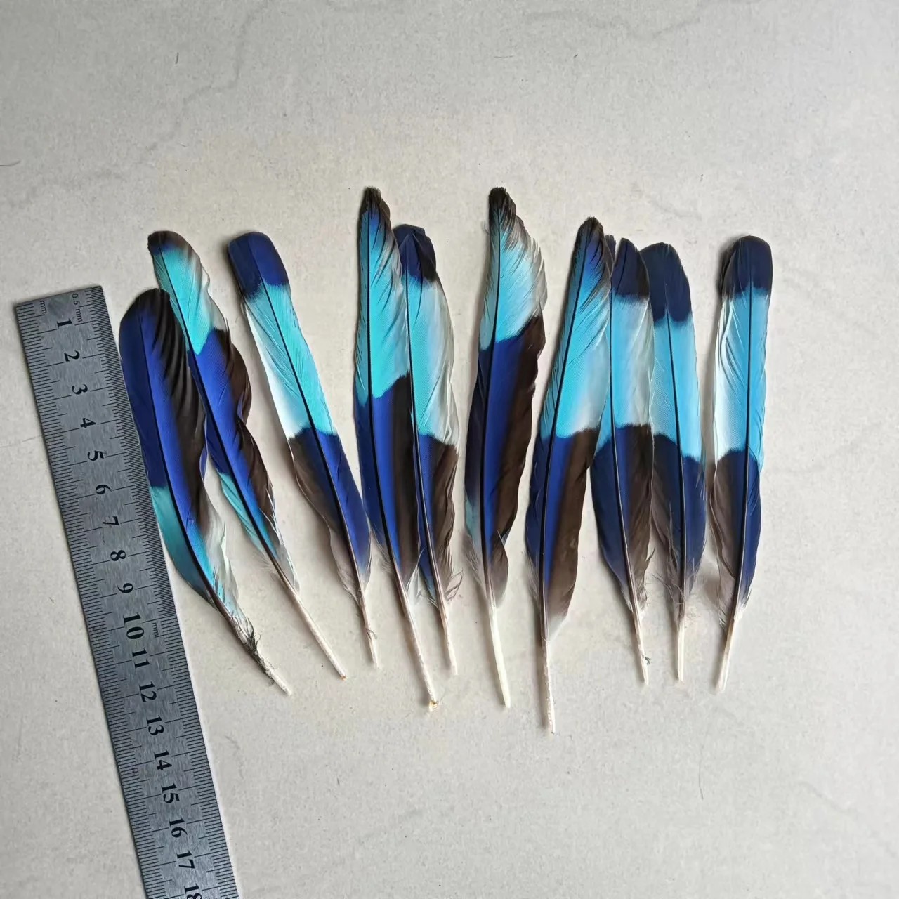 Wholesale 10 beautiful kingfisher feathers, 12-15cm long, Diy wedding celebration jewelry, ornament accessories, feathers