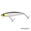 INTRUDER 71S-P