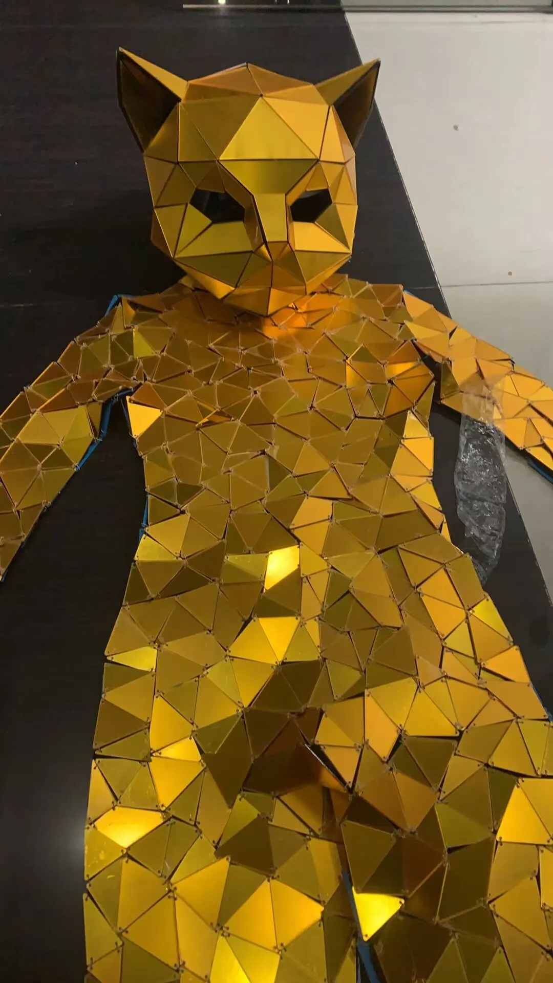 زي قطة بمرآة ذهبية مع قناع وذيل ثلاثي الأبعاد