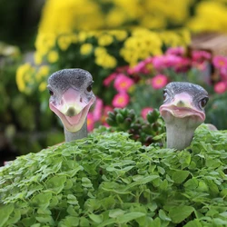 1pc Funny Ostrich Head Chicken Statue,Indoor and Outdoor Flower Pot Decoration - Add Fun and Whimsy to Your Garden with This Res