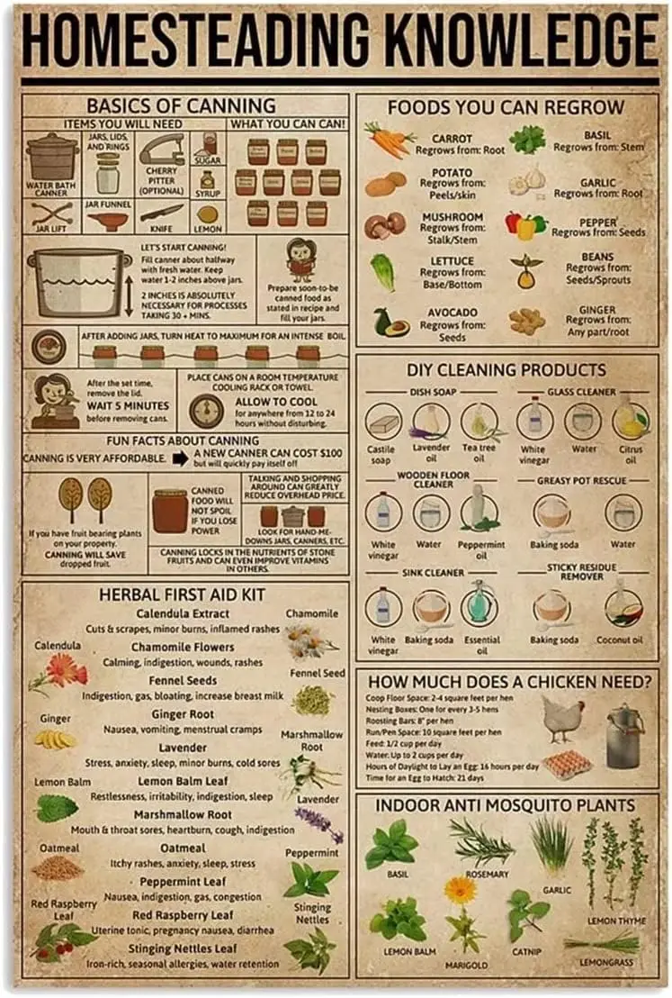 Youpinnong Homesteading Knowledge – Panneau mural en métal, infographies sur les bases de la mise en conserve, peinture vintage pour la maison et la cuisine