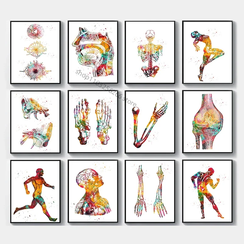 Abstract Human Body Organ Eye Rib Cage Knee Bone Muscle Poster Canvas Painting Wall Pictures for Medicine Living Room Home Decor
