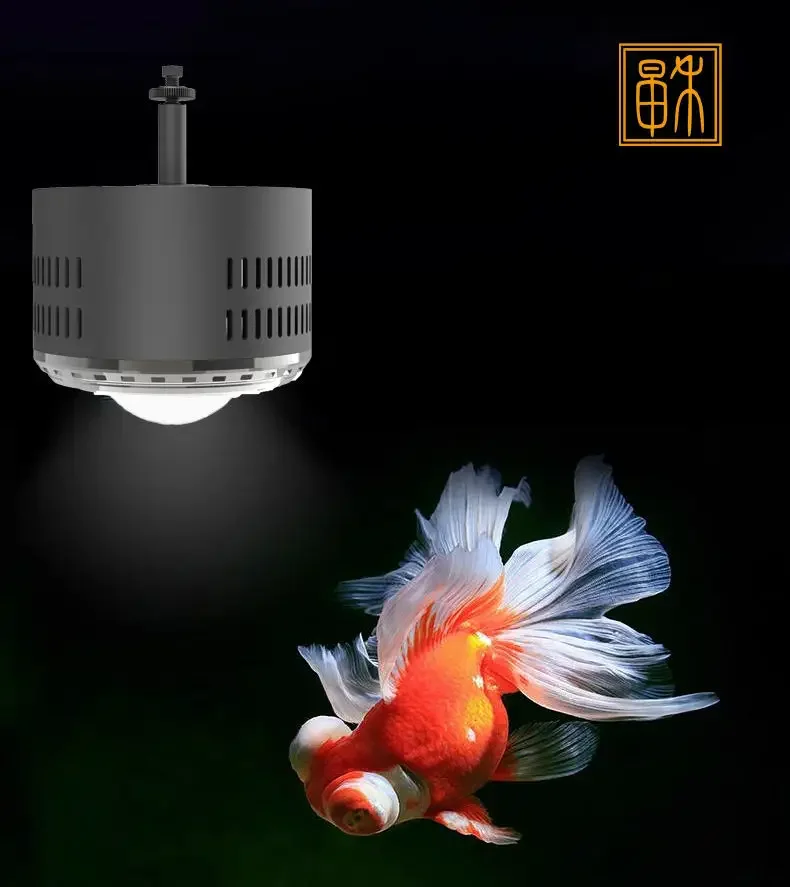 Zaohetian DC24V Dimming led aquarium downlight high power fish tank led downlamp 100W Adjustable height