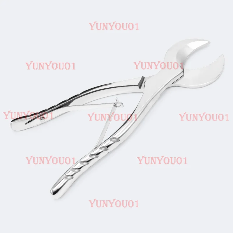 

Dental Stainless Steel Shears Super Hard Gypsum Shears Mechanic Scissors