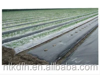 2025Coperture agricole in pp Spunbond non tessuto