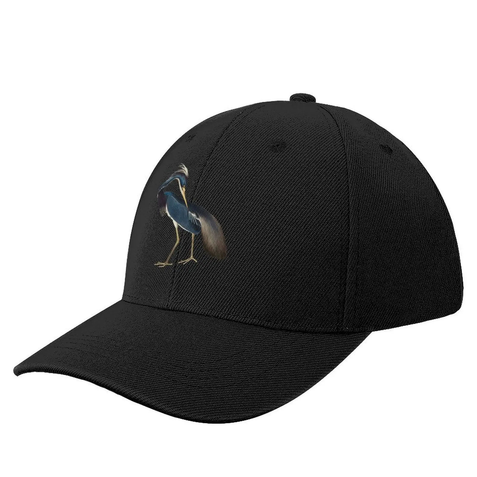 

Audubon's tricolored (Louisiana) heron Baseball Cap Cosplay Hat Luxury Brand Women's Hats Men's