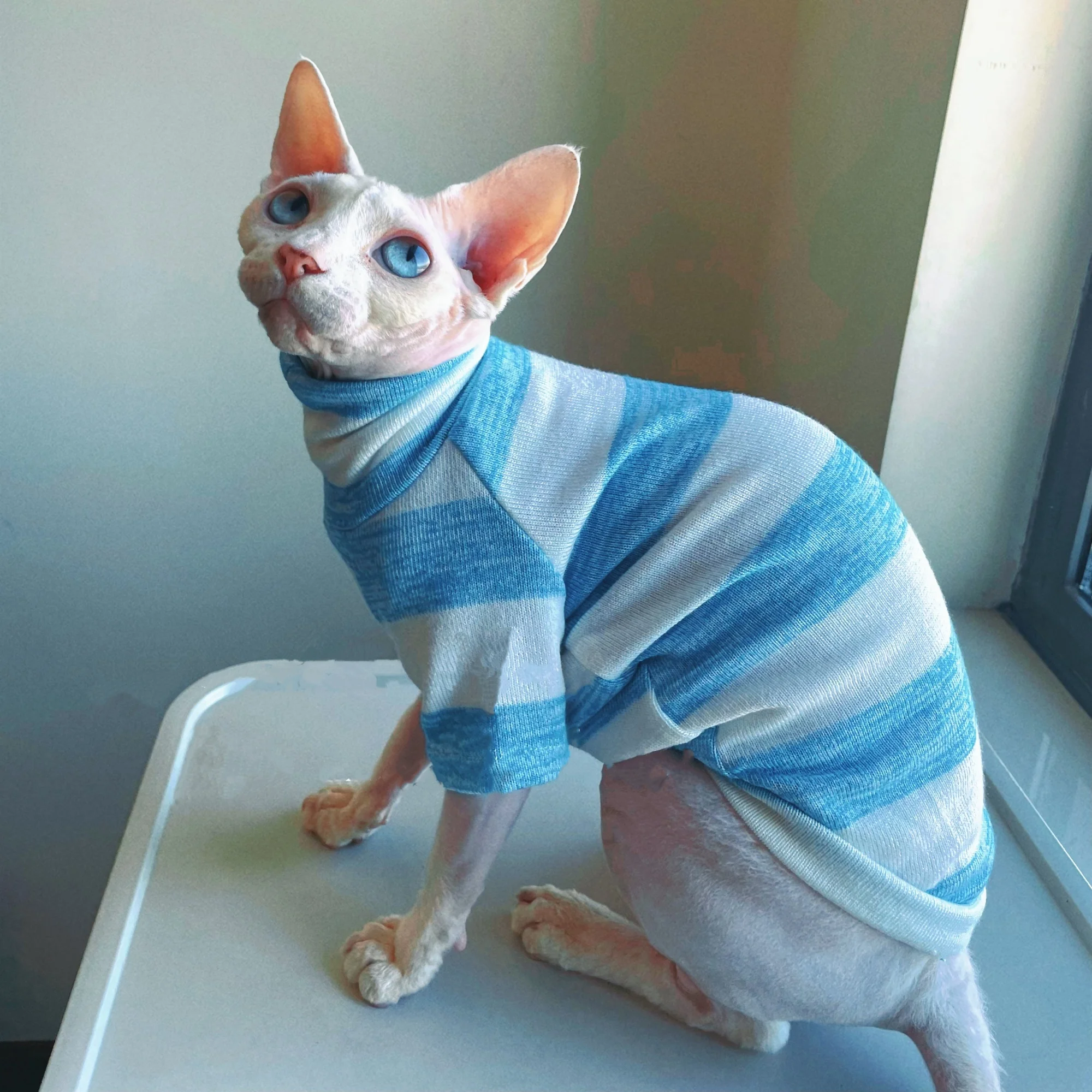 Blue Striped Knitted Cotton T-shirt for Sphynx Cat in Autumn Soft Spring Elastic High-Neck Undershirt for Devon Rex in Winter