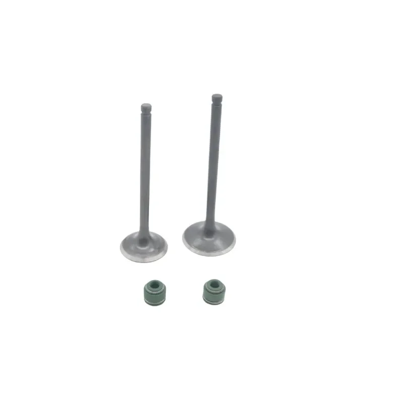 High Performance Engine Valve Kit Compatible with Zongshen CB250-F Big Head Machine Includes Valve Clip and Oil Seal Durable