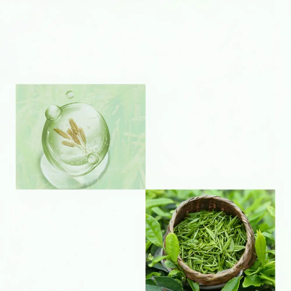 Gentle Peeling Gel For For Meishiji Enzyme Facial Cleanser Deep Pore Cleaning Moisturizing Smoothing Skin Care Tool