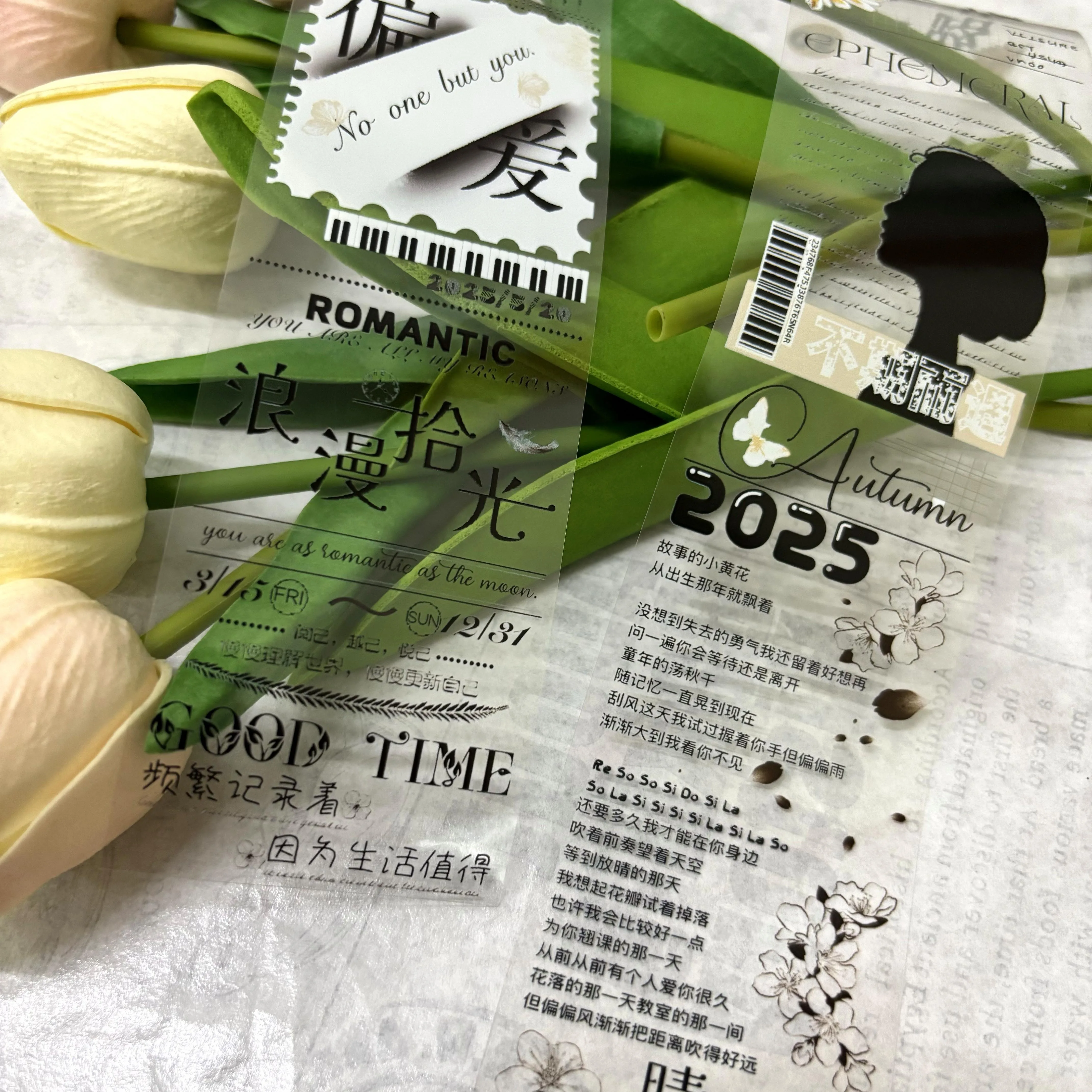 Washi Pet Tape Roll  Light Retro Style, Practical and Good with Chinese Character Backing Sticker