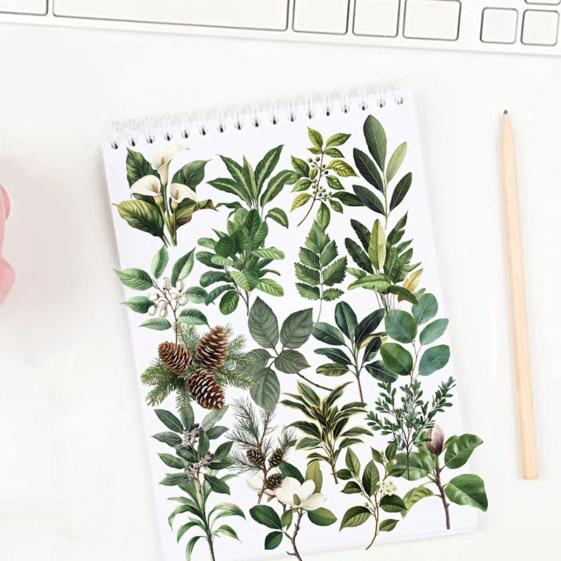 50 قطعة من ملصقات أوراق النباتات الخضراء DIY حقيبة دفتر الدراجة زجاجة ماء قضية الهاتف المحمول شفافة جرافيتي يترك الشارات