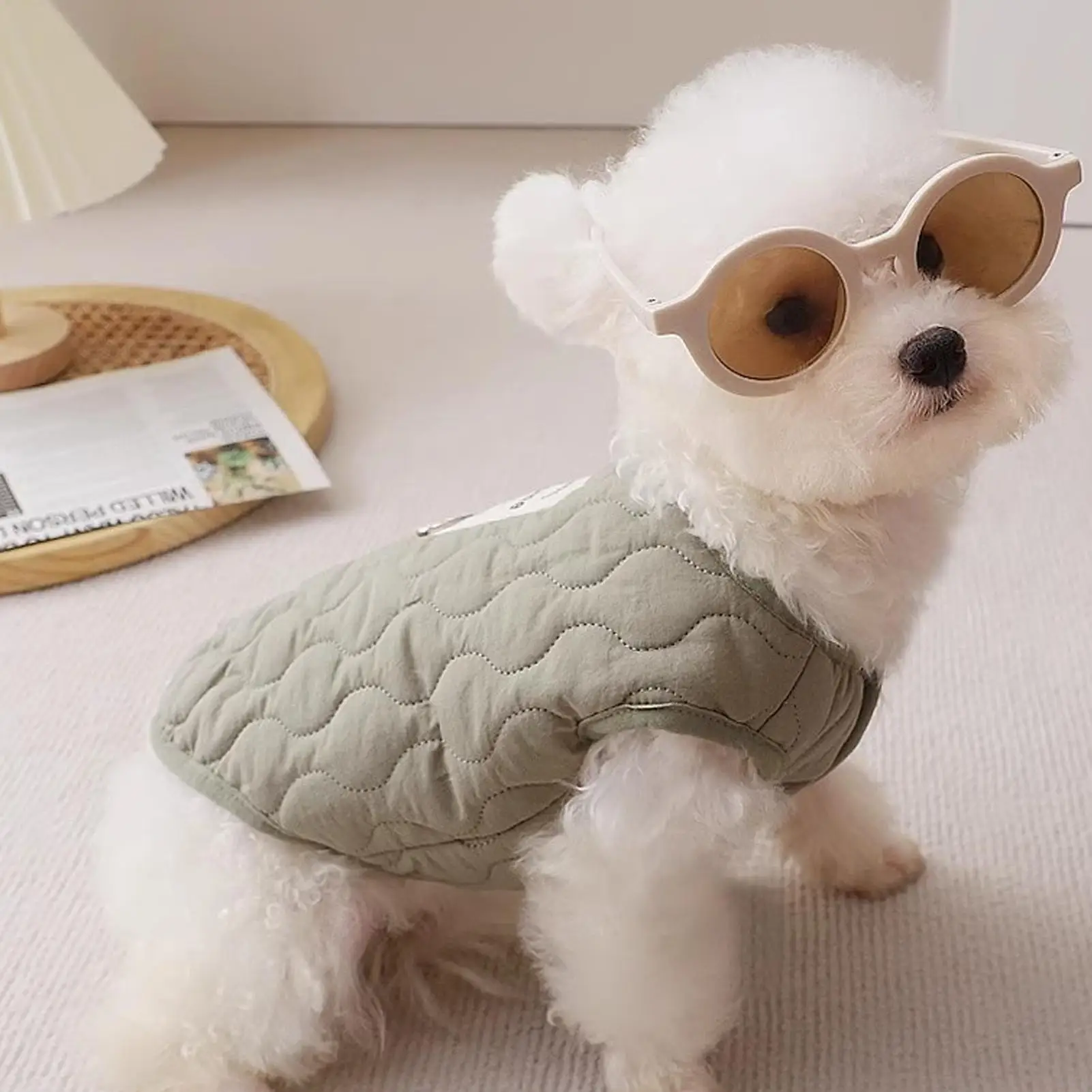 Winterjacke für kleine Hunde, warme Hundejacke mit integriertem Geschirrloch, Haustierbekleidung für kaltes Wetter, gemütliche Schneeweste für kleine Hunde und Katzen