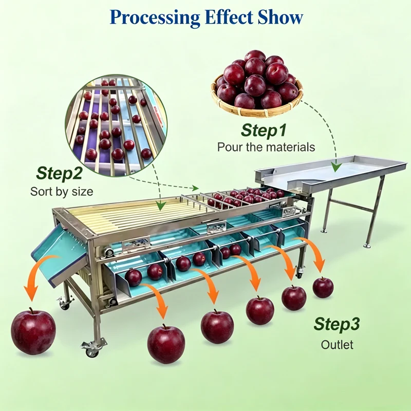 Automatic Fruit Vegetable Sorting Machine Fruit Cherry Tomato Onion Sorting Machine Blueberry Grading Sorting Machine