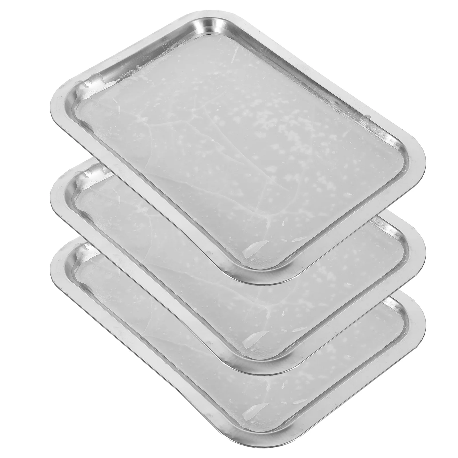 3 Pcs Wax Dissection Tray Junior Class Tool Stainless Steel Biological Laboratory Equipment