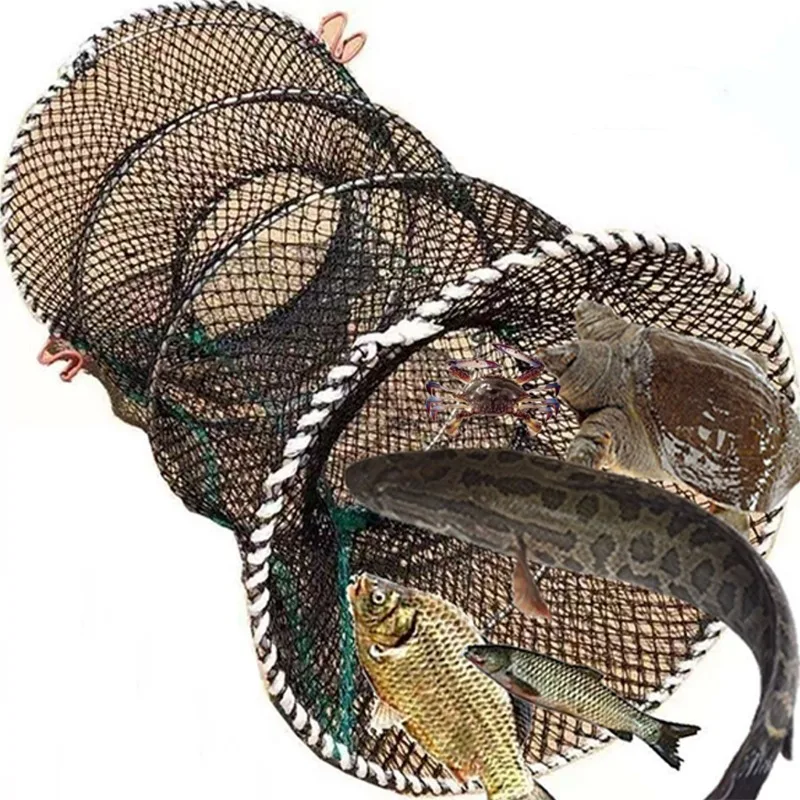 Thumbnail 2 - #45 Compare Fishing Traps Before You Buy