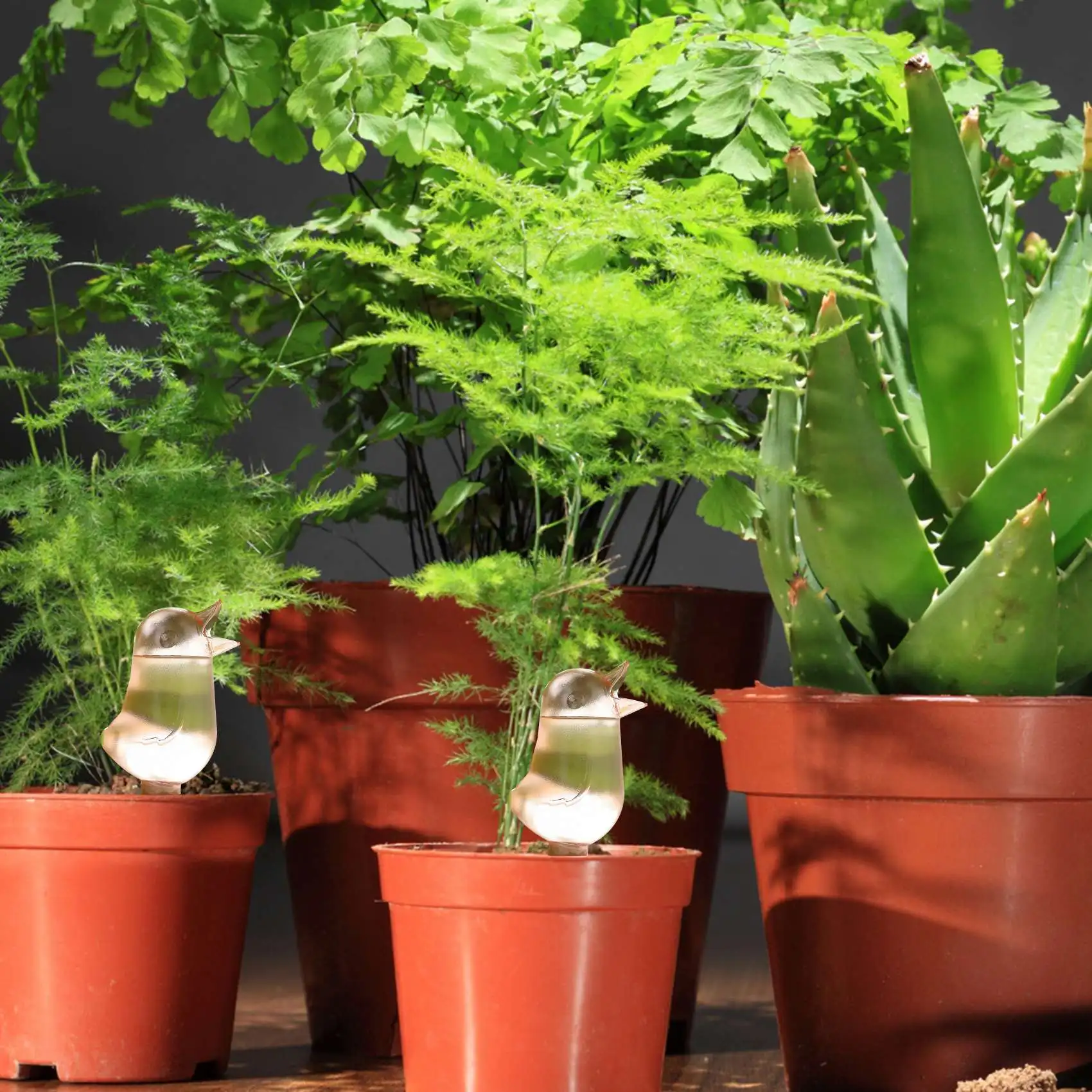 H-W 4 Pcs Bird Shape Clear Plant Waterer Clear Self Watering Devices Globes, Houseplant Watering Bulbs Plant Watering Spikes Aut